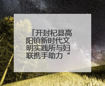 开封杞县高阳镇新时代文明实践所与妇联携手助力“三夏”生产