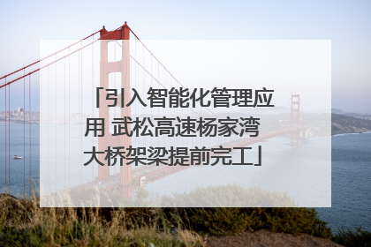 引入智能化管理应用 武松高速杨家湾大桥架梁提前完工
