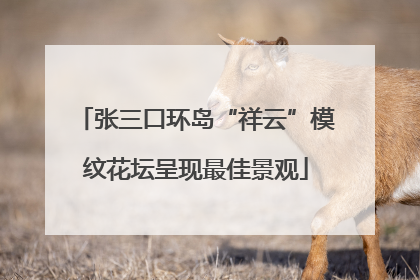 张三口环岛“祥云”模纹花坛呈现最佳景观
