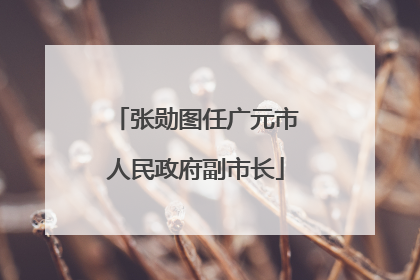 张勋图任广元市人民政府副市长