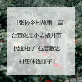 张掖乡村故事｜高台宣化黑小麦撬开市民面柜子 石磨激活村集体钱匣子