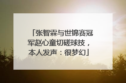 张智霖与世锦赛冠军赵心童切磋球技，本人发声：很梦幻