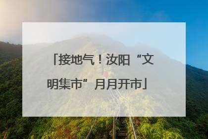 接地气！汝阳“文明集市”月月开市