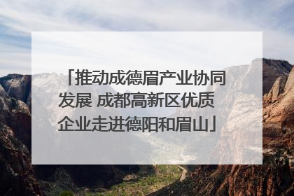 推动成德眉产业协同发展 成都高新区优质企业走进德阳和眉山