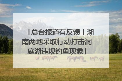 总台报道有反馈丨湖南两地采取行动打击洞庭湖违规钓鱼现象