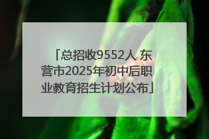 总招收9552人 东营市2025年初中后职业教育招生计划公布