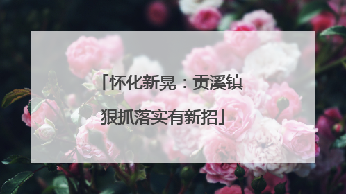 怀化新晃：贡溪镇狠抓落实有新招