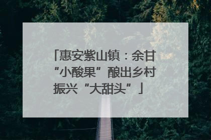 惠安紫山镇：余甘“小酸果”酿出乡村振兴“大甜头”