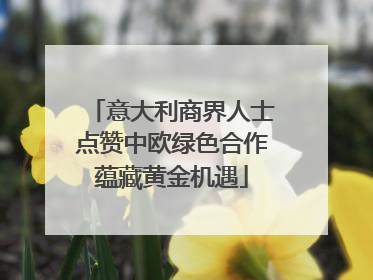 意大利商界人士点赞中欧绿色合作蕴藏黄金机遇