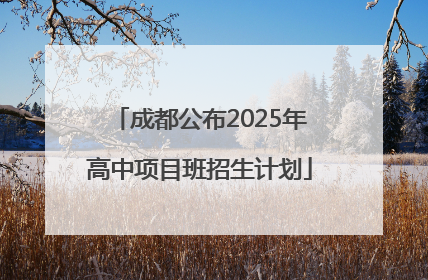 成都公布2025年高中项目班招生计划