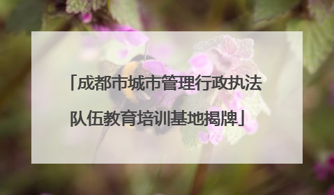成都市城市管理行政执法队伍教育培训基地揭牌