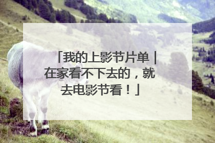 我的上影节片单｜在家看不下去的，就去电影节看！
