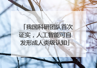 我国科研团队首次证实，人工智能可自发形成人类级认知