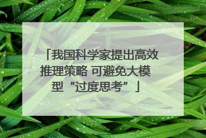 我国科学家提出高效推理策略 可避免大模型“过度思考”