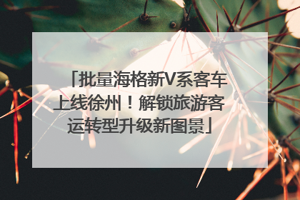 批量海格新V系客车上线徐州！解锁旅游客运转型升级新图景