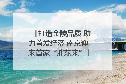 打造金陵品质 助力首发经济 南京迎来首家“胖东来”