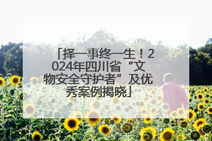 择一事终一生！2024年四川省“文物安全守护者”及优秀案例揭晓