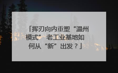 挥刃向内重塑“温州模式” 老工业基地如何从“新”出发？