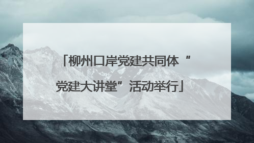 柳州口岸党建共同体“党建大讲堂”活动举行