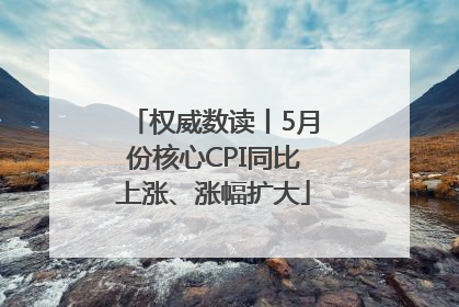 权威数读丨5月份核心CPI同比上涨、涨幅扩大