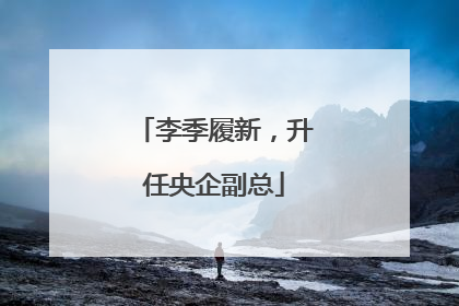 李季履新，升任央企副总