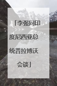李强同印度尼西亚总统普拉博沃会谈