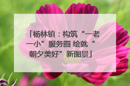杨林镇：构筑“一老一小”服务圈 绘就“朝夕美好”新图景
