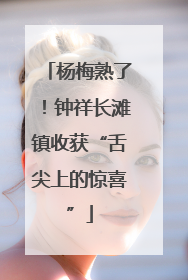 杨梅熟了！钟祥长滩镇收获“舌尖上的惊喜”