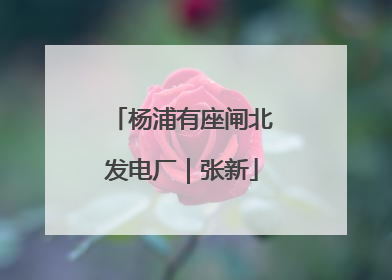 杨浦有座闸北发电厂｜张新