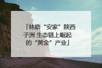 林麝“安家”陕西子洲 生态链上崛起的“黄金”产业