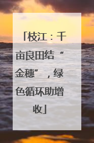 枝江：千亩良田结“金穗”，绿色循环助增收