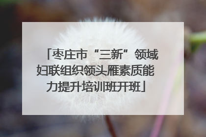 枣庄市“三新”领域妇联组织领头雁素质能力提升培训班开班