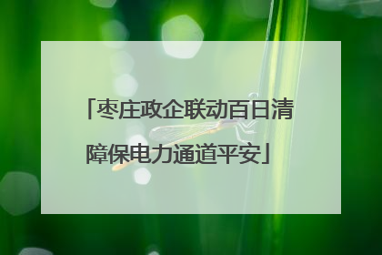 枣庄政企联动百日清障保电力通道平安