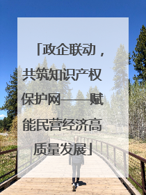 政企联动，共筑知识产权保护网——赋能民营经济高质量发展
