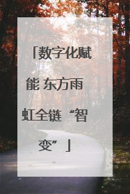 数字化赋能 东方雨虹全链“智变”