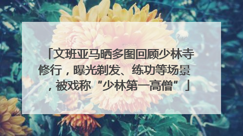 文班亚马晒多图回顾少林寺修行，曝光剃发、练功等场景，被戏称“少林第一高僧”