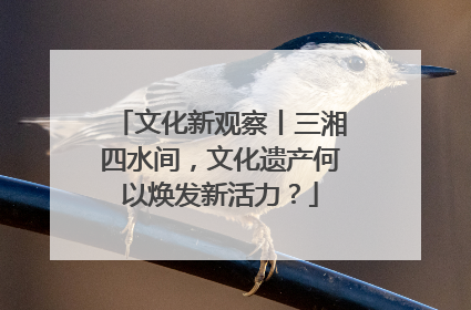 文化新观察丨三湘四水间，文化遗产何以焕发新活力？