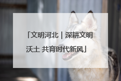 文明河北｜深耕文明沃土 共育时代新风