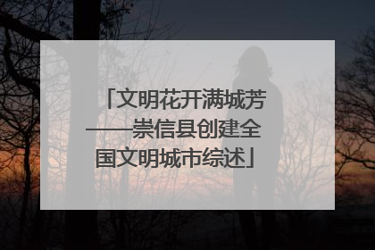 文明花开满城芳——崇信县创建全国文明城市综述