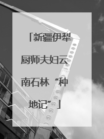 新疆伊犁厨师夫妇云南石林“种地记”