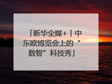 新华全媒+丨中东欧博览会上的“数智”科技秀