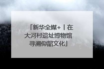 新华全媒+丨在大河村遗址博物馆寻溯仰韶文化