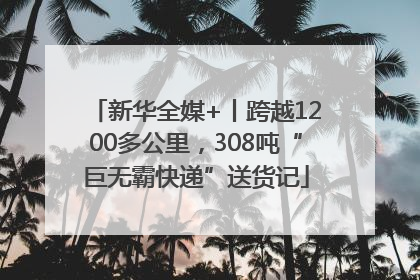 新华全媒+丨跨越1200多公里，308吨“巨无霸快递”送货记
