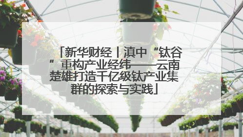 新华财经丨滇中“钛谷”重构产业经纬——云南楚雄打造千亿级钛产业集群的探索与实践