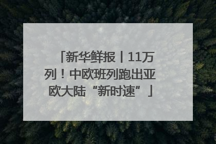 新华鲜报丨11万列！中欧班列跑出亚欧大陆“新时速”