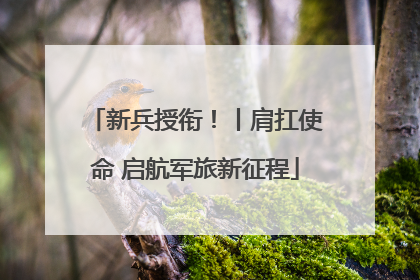 新兵授衔！丨肩扛使命 启航军旅新征程