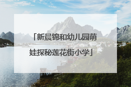 新晨锦和幼儿园萌娃探秘莲花街小学