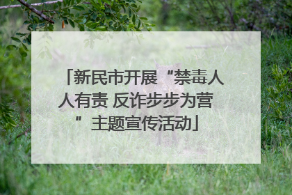 新民市开展“禁毒人人有责 反诈步步为营”主题宣传活动