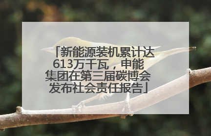 新能源装机累计达613万千瓦，申能集团在第三届碳博会发布社会责任报告