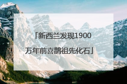 新西兰发现1900万年前喜鹊祖先化石